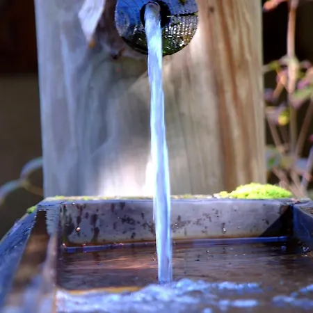 Felbermayer & Alpinespa-montafon מלון 4*